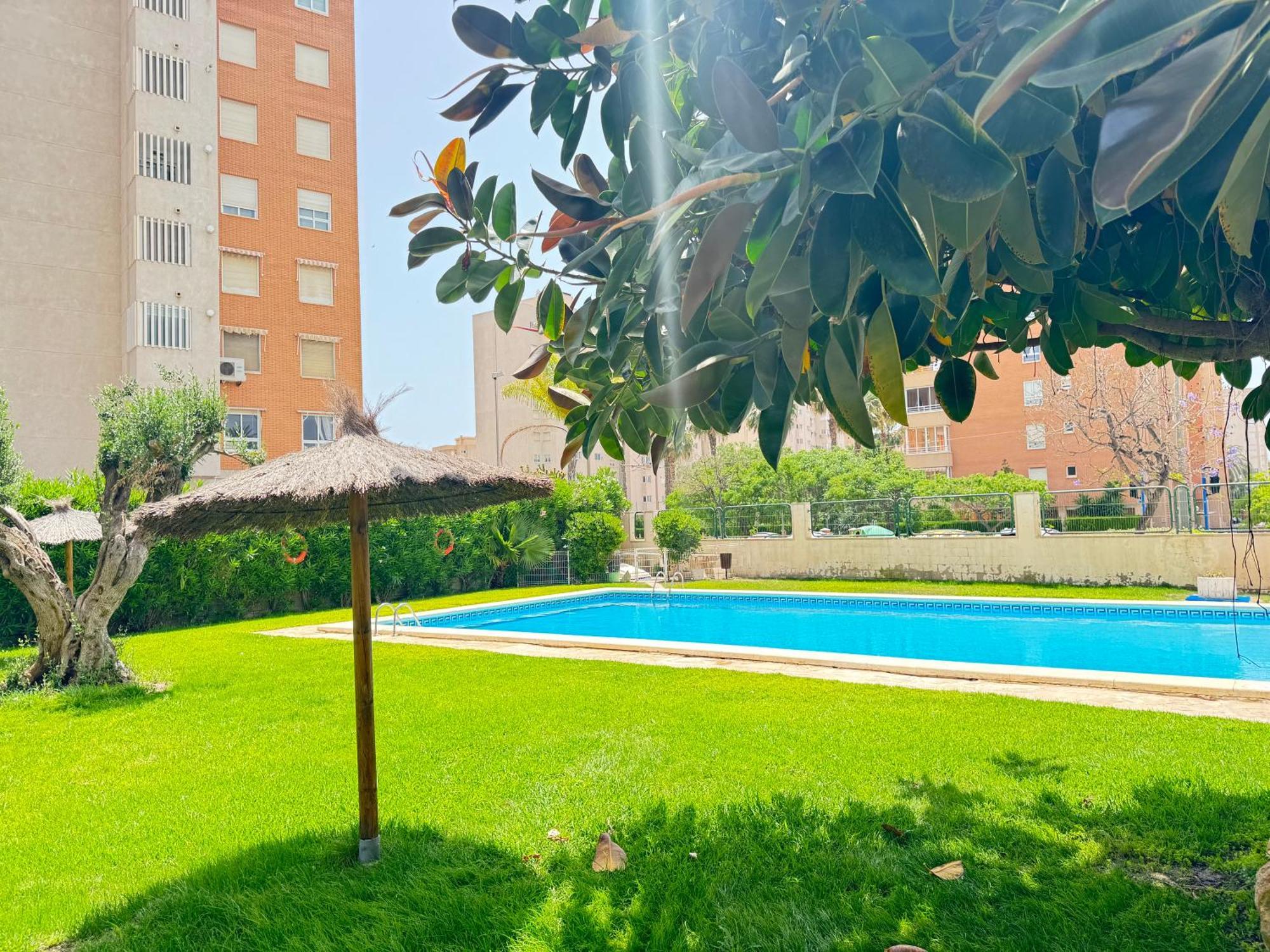 Apartament Estudio Con Piscina Alacant