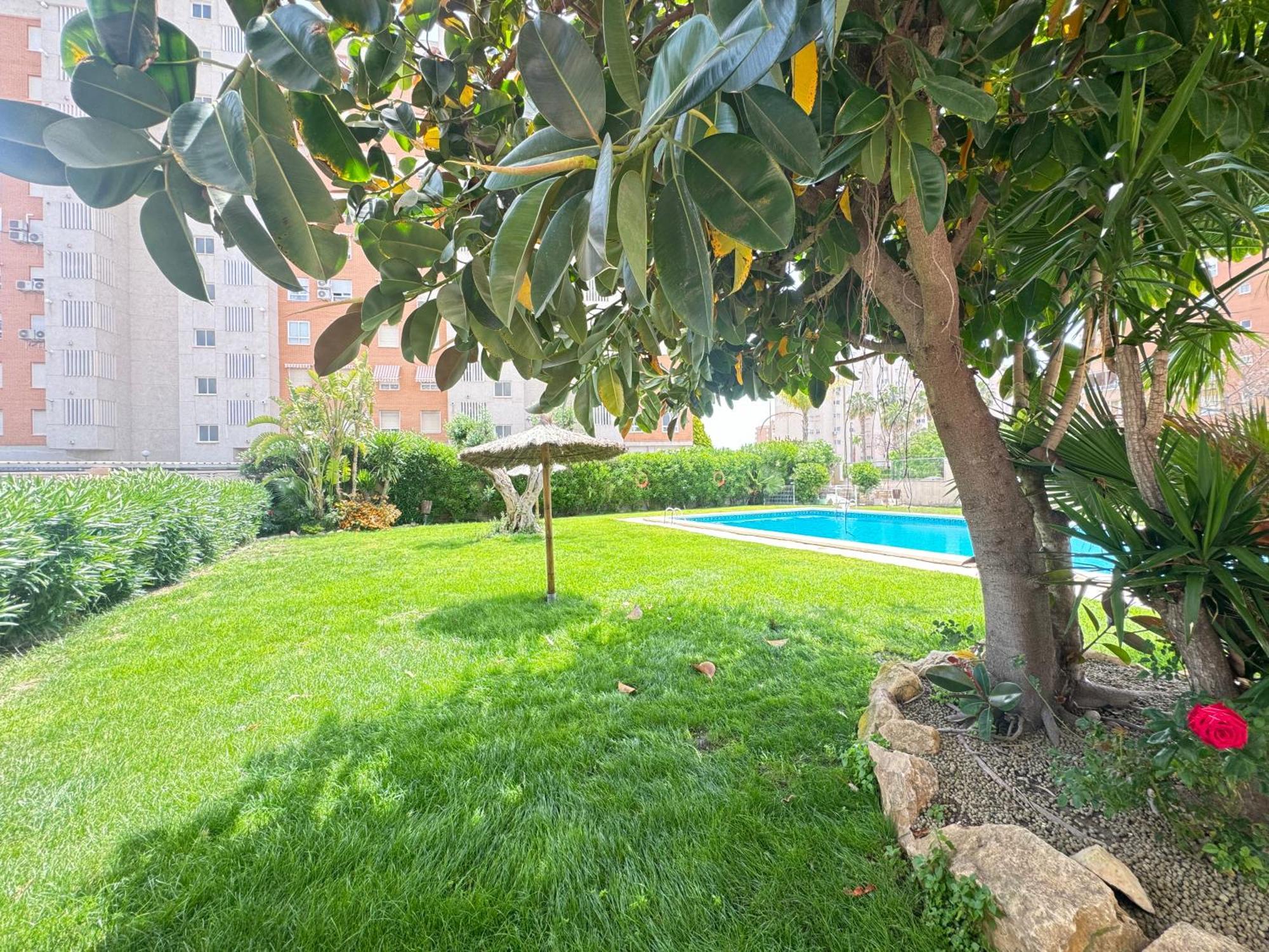 Estudio Con Piscina * Alacant